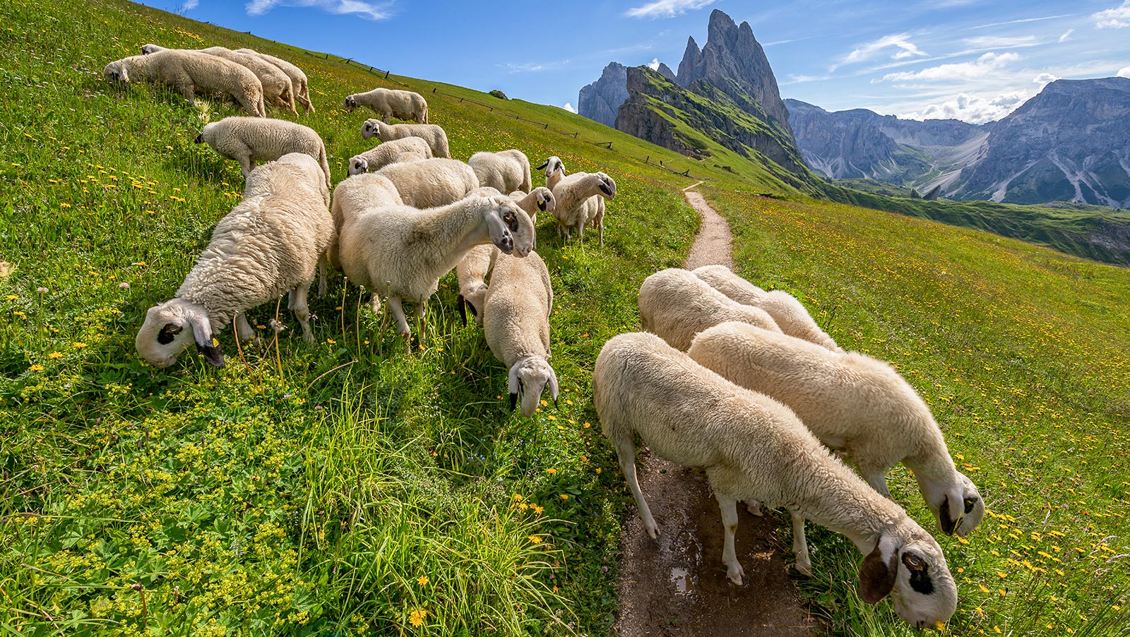 Holiday in Val Gardena